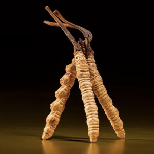 cà phê đông trùng hạ thảo