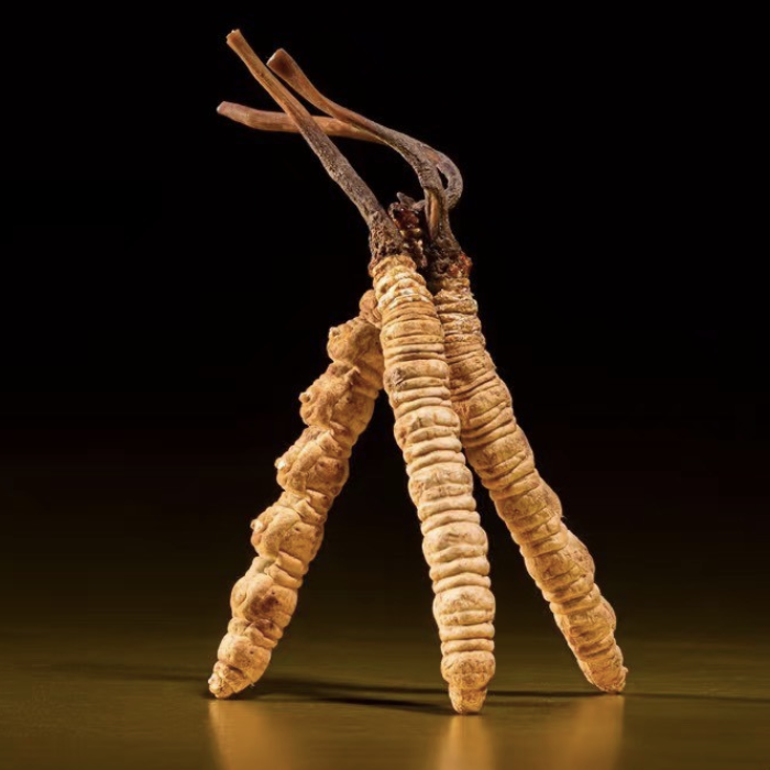 cà phê đông trùng hạ thảo