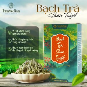 Bạch trà Shan Tuyết