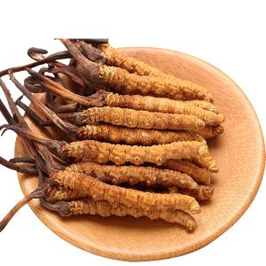 Alternative view of Đông Trùng Hạ Thảo Nguyên Con Khô Sấy Lạnh