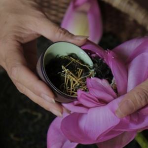 Alternative view of Trà Ướp Bông Sen Tươi