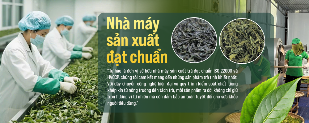 nhà máy sx đạt chuẩn Thiên Mộc Trầm