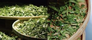 trà sau khi phơi khô