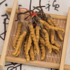 Alternative view of Đông Trùng Hạ Thảo Tây Tạng Nguyên Con – Loại 600 con