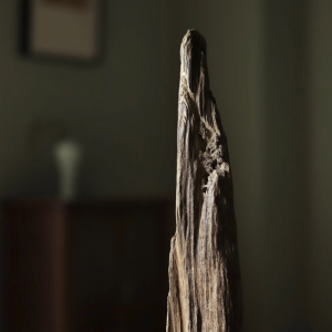 Alternative view of Tiểu Cảnh Trầm Hương