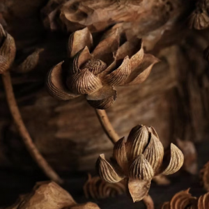 Alternative view of Tượng Quan Âm Ngự Sơn Tùng