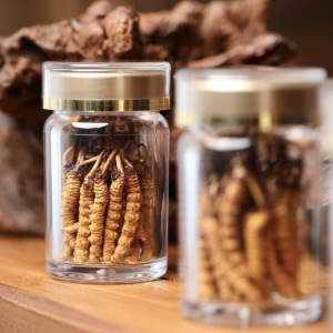 Đông Trùng Hạ Thảo Tây Tạng Nguyên Con loại 200 con