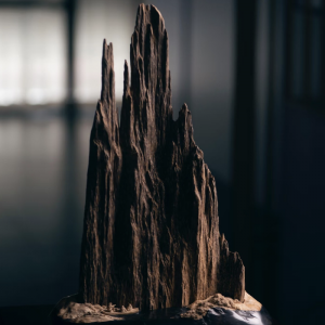 Tiểu Cảnh Trầm Hương