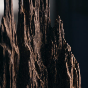 Tiểu Cảnh Trầm Hương