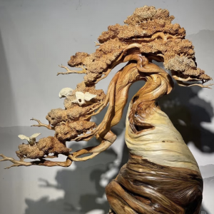 Alternative view of Cây Bonsai Tùng Hạc Diên Niên