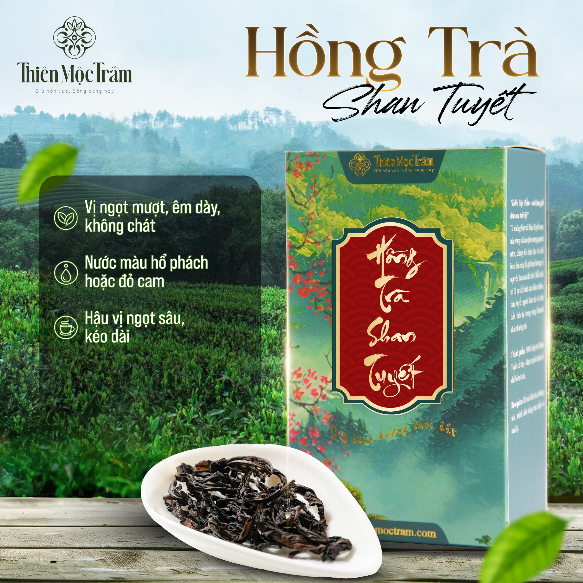 Hồng trà Shan Tuyết (Hộp giấy)