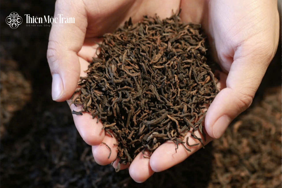 Câu chuyện của Hồng Trà