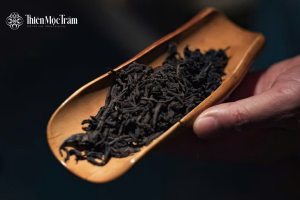 L-theanine – tỉnh táo êm dịu cho não bộ hiện đại