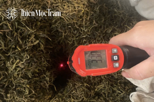 Oxy hóa (lên men) – linh hồn của chế biến hồng trà