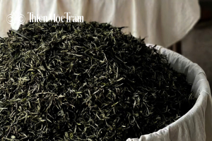 hồng trà phù hợp với đời sống hiện đại