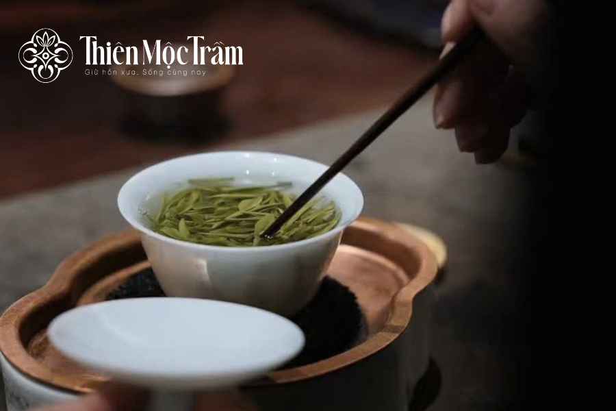 Sự khác biệt giữa trà cổ thụ Shan Tuyết và trà xanh Thái Nguyên