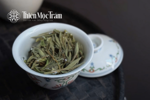 nước trà bạch trà shan tuyết