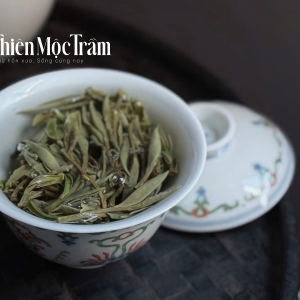 Hương vị trà Shan Tuyết Hà Giang khác gì so với trà vùng khác?