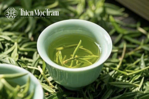 nước trà trà xanh thái nguyên