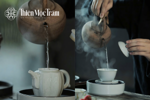 Khâu chuẩn bị trong pha trà cổ thụ Shan Tuyết đúng chuẩn