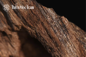 Tại sao trầm lâu năm lại đắt giá?