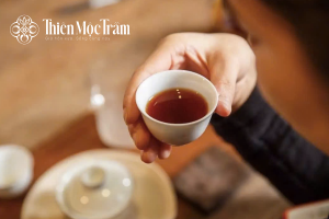 Nghịch lý caffeine trong Trà cổ thụ – Vai trò của L-theanine