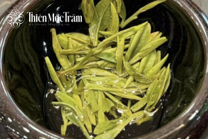 Nghịch lý caffeine trong Trà cổ thụ – cơ chế hấp thụ êm hơn