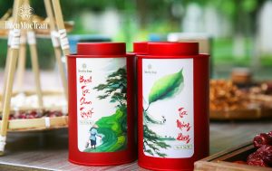 NGHỆ THUẬT PHA TRÀ SHAN TUYẾT CỔ THỤ