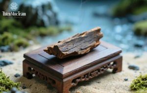 Nâng tầm trải nghiệm hương trầm - Chạm vào tĩnh lặng
