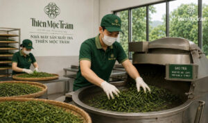 Bên trong nhà máy Thiên Mộc Trầm: Nơi ra đời những phẩm trà thượng hạng